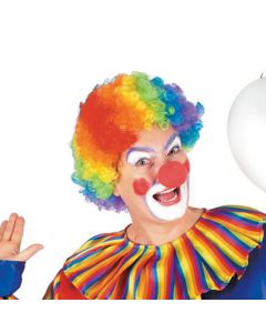 Adult's Rainbow Clown Wig