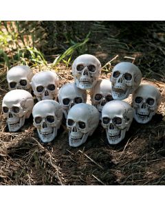 Bag of Skulls