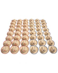 Bulk Adult's Cowboy Hats with Star