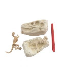 Dig and Discover Excavation Dinosaur Heads