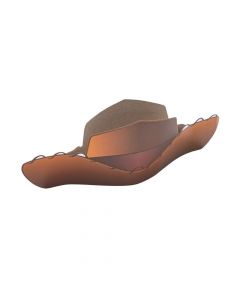 Disney's Toy Story 4 Cowboy Hats