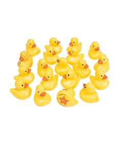 Duck Matching Game