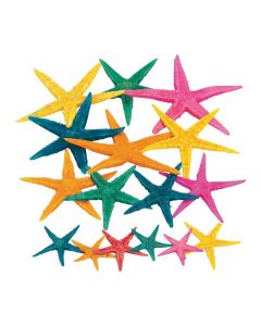Genuine Dyed Starfish