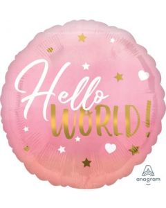 Hello World Pink Baby Girl Balloon
