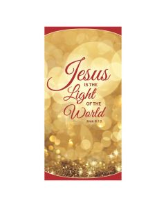 Jesus is the Light of the World Door Banner