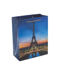 Medium Paris Gift Bags