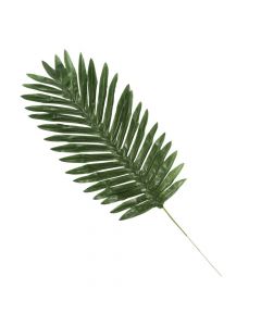 Medium Silk Palm Leaves