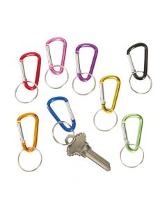Mini Clip Keychains