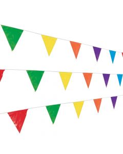 Multicolor Plastic Pennant Banner