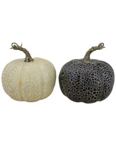 Northlight Set of 2 Black and Beige Fall Harvest Tabletop Pumpkins With a Brown Stem 5