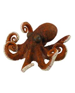 Octopus - Sea Life - Extra Large