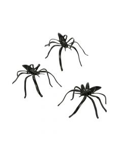 Scary Spiders