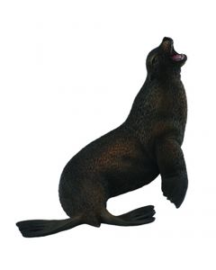 Sea Lion - Sea Life - Large