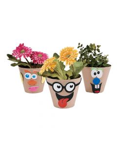 Silly Face Flowerpot Craft Kit