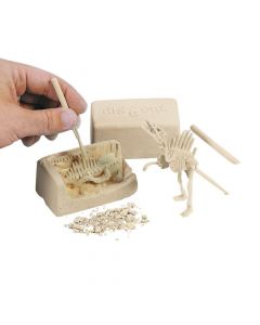 Dinosaur Dig Kit Small
