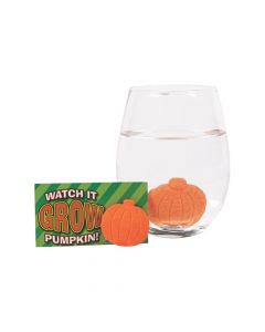Watch It Grow Pumpkins