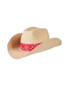 Western Cowboy Hats with Red Bandana